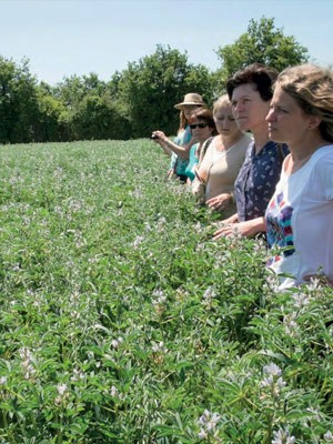 Le programme « femmes et agriculture durable »