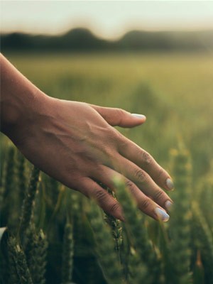 La fondation goodplanet : agir pour la planète et ses habitants