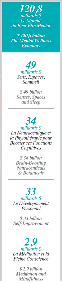 Marché mondial du bien-être mental 