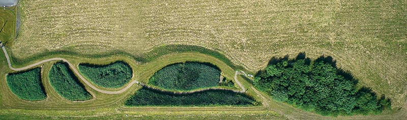 Les Jardins Filtrants situés au cœur du Centre d’Innovation de la marque, présente un double intérêt : en plus de leur fonction de traitement des eaux usées, ils participent à la création d’un habitat écologique pour la biodiversité.