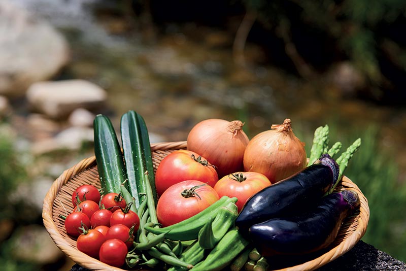 « Nous avons le devoir d’apprendre la vraie saveur des ingrédients à nos clients. Entre les fast food et les exhausteurs de gout, de nombreuses personnes ne connaissent plus le goût des produits. » Vincent Carcaillon Chef at La Terrasse restaurant, Hotel Thalasso & Spa Alliance Pornic