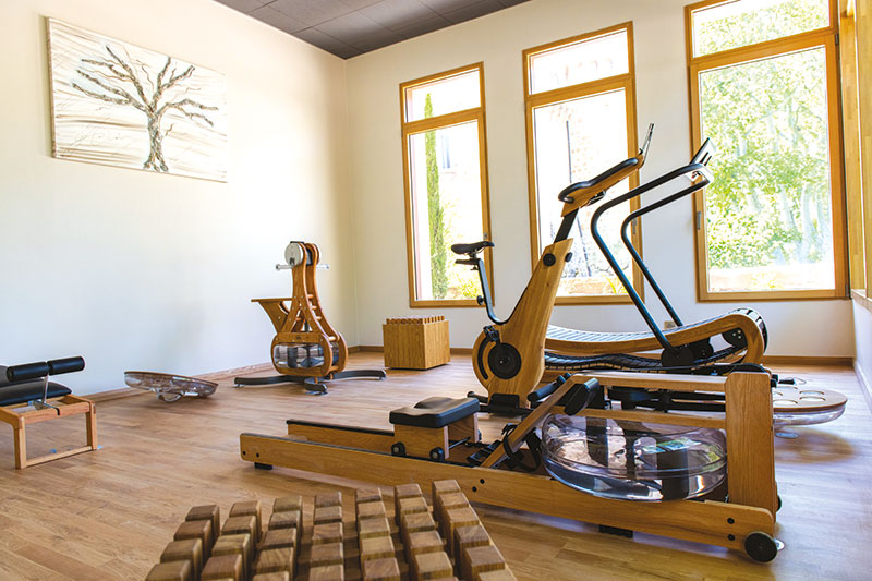 La salle de fitness de l’hôtel 4* Château de Massillan, équipée par WATERROWER France. © Photo N.Lacroix