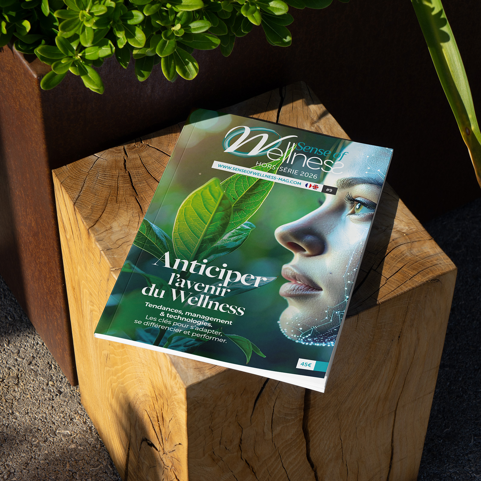 Les nouveaux territoires du Wellness !