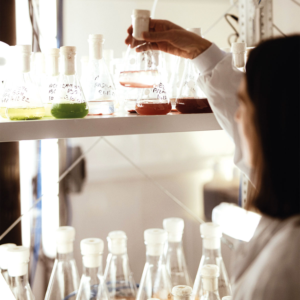 Phytomer, un écosystème scientifique unique dédié à l’innovation marine