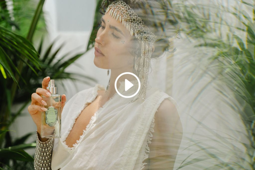 Voyage sur la route de Darjeeling – Thé vert & Gingembre