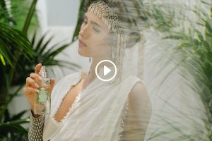 Voyage sur la route de Darjeeling – Thé vert & Gingembre