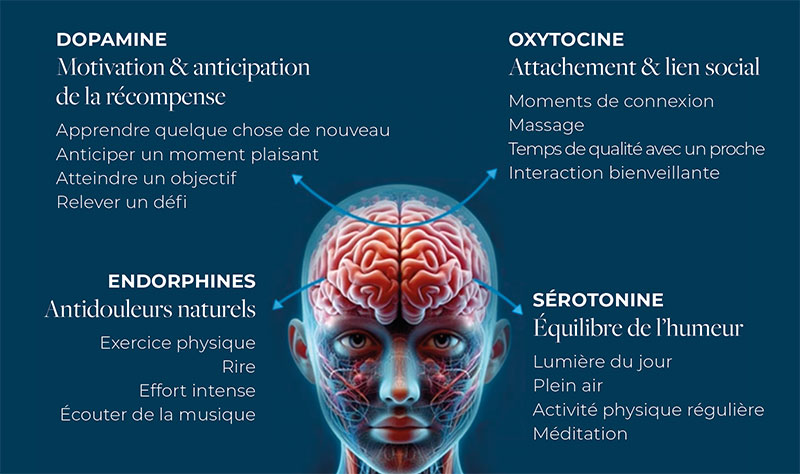 Des systèmes neurochimiques interconnectés qui influencent motivation, plaisir et bien-être. Comprendre la science derrière le fait de se sentir bien : au cœur de la conférence d’Anna Bjurstam.
