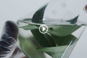 Chateau Berger, la force d’une histoire